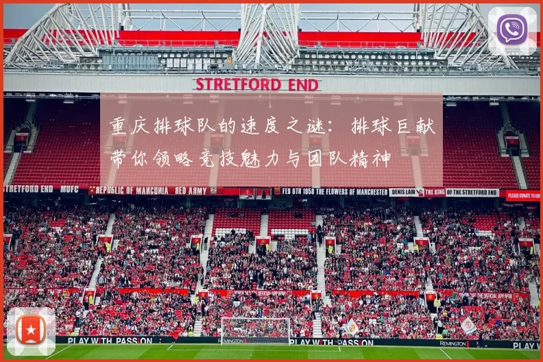 重庆排球队的速度之谜：排球巨献带你领略竞技魅力与团队精神