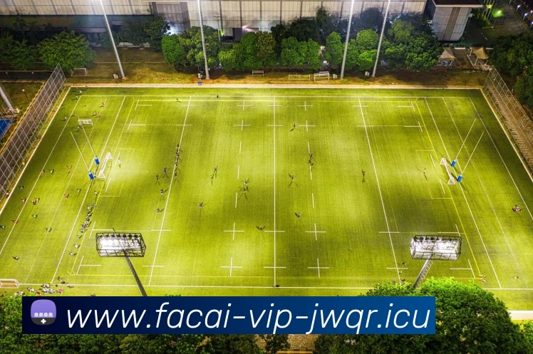 多媒体互动体验