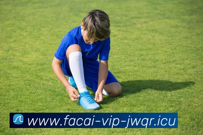 九游体育APP 高清赛事图